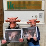VGT-Proteste vor „Rinderzucht Austria“, Landwirtschaftsministerium und -kammer