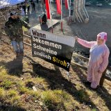 Tierschützer:innen konfrontieren Totschnig in Lienz: fordern Verbot Schweine-Vollspalten