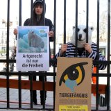 VGT-Demo vor Tiergarten Schönbrunn: Artgerecht ist nur die Freiheit