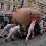 Einladung VGT-Aktion: Riesenschwein Grunzi vor Spar-Zentrale