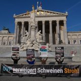 Regierungsparteien vertagen Antrag SPÖ auf Fördermittel für Umbau vom Vollspaltenboden