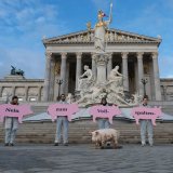 Tierschutz gegen Schweine-Vollspalten: insgesamt 1630 Proteste, davon 176 allein 2024