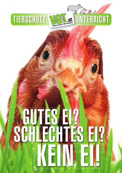 Cover Legehühner-Faltblatt