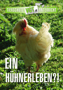 Cover Masthühner-Faltblatt