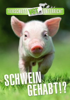 Cover Schweine-Faltblatt