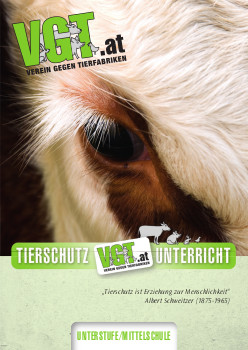 Cover Unterstufe-Faltblatt