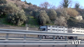 Rindertransporter parkt am Rand der Autobahn