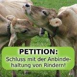 Petition: Schluss mit der Anbindehaltung von Rindern!