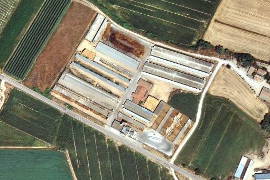 Eine Tierfabrikshalle in der spanischen Hitze