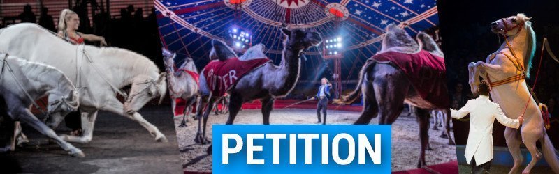 Petition für ein Verbot von Tieren im Zirkus