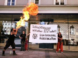 Aktivist_innen mit Banner und einem Feuerspeier