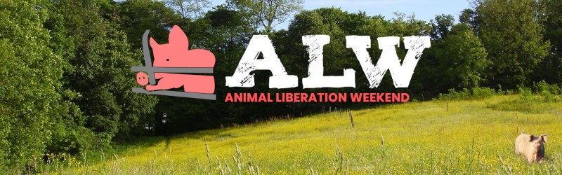 Animal Liberation Weekends 2024