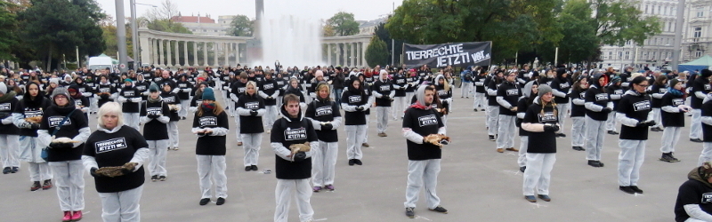 Hundrets of activists on a vigil support animal rights