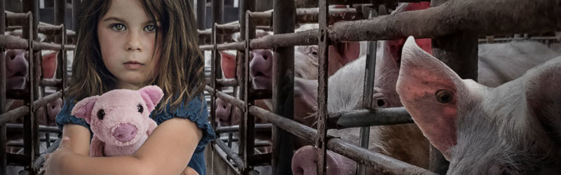 A little girl holding a stuffed piglet in front of horribly caged pigs