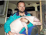 Zweite Rettung eines Schweines aus einem Mastbetrieb in OÖ