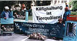 Der burgenländische Landtag zementiert die Käfighaltung für Legehühner