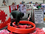 Robbenschlachten vor der kanadischen Botschaft