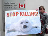 Demo gegen das Abschlachten von Babyrobben in Kanada
