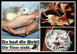 Tiermissbrauch im (Biologie)Studium