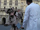 Aufsehen erregende "Tierquälerei" in Grazer Innenstadt