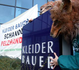 Pelz-Kampagne gegen Kleider Bauer beginnt!