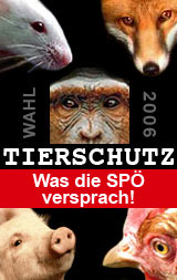 Nach SPÖ Wahlversprechen: kein Wort von Tierschutz im Regierungsprogramm