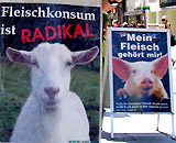 "Fleischkonsum ist radikal!"