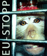 Stopp den Primatenversuchen!