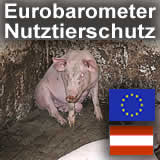 71% der ÖsterreicherInnen fordern höhere Tierschutzstandards für Nutztiere