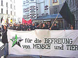 Großer Demomarsch in Innsbruck