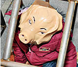TierschützerInnen protestieren gegen geplante Schweinemastanlage
