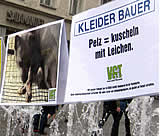 Auch Salzburg aktiv gegen den Verkauf von Pelz!