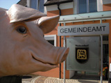 Schweinefabrik bei Leibnitz - Tierquälerei österreichweit in den Medien