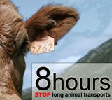 Internationale Petition zur Beendigung von Langzeittiertransporten