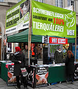 Graz: wöchentliche VGT-Demos am Hauptplatz
