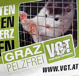 Graz Pelzfrei: Tierschutz statt Pelzhandel in Graz