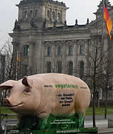 Riesenschwein "Grunzi" in Berlin und beim Klimagipfel in Kopenhagen