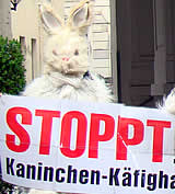 Kaninchen-Käfigverbot: Ministerium gesprächsbereit!