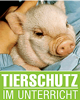 VGT unterstützt TierschutzlehrerInnen-Ausbildung in Graz