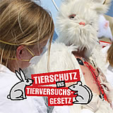 Einladung: Tierschutz-Aktion zeigt Tierversuche auf offener Straße am neuen Platz in Klagenfurt