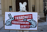 Tierschutz in die Verfassung: Protest gegen Blockadepolitik der ÖVP in Linz, Innsbruck, Wien
