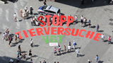 Stopp Tierversuche - Riesen Buchstaben wanderten durch Wien
