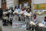 Tote Hühner vor Landwirtschaftskammer: keine Mastfabrik von Präsident Wlodkowski
