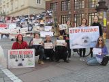 Foto-Protest-Aktion gegen die Robbenjagd