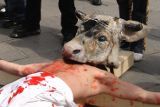 Linzer Polizei untersagt Tierschutz-Kreuzigungsaktion wegen Blasphemie!