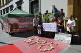 Heute, Graz: Protestaktion mit toten Hühnern gegen Tierqualpolitik der SPÖ