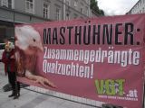 Wöchtentliche Infodemos zu laufenden Tierschutzkampagnen und Veganismus in Innsbruck - natürlich auch im Sommer!