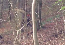 Hier pirscht ein Jäger unmittelbar neben dem Haus durch den Wald
