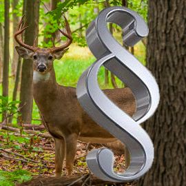 Ein Hirsch im Wald hinter einem Paragraphen-Symbol
