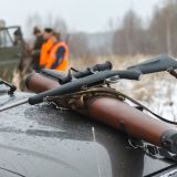 2 neue Jagdfreistellungsanträge in NÖ: überall fordern GrundbesitzerInnen Ende der Jagd